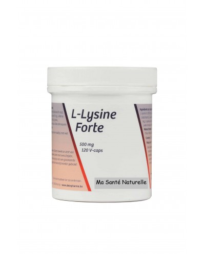 L-LYSINE-FORTE 500 mg - 120...
