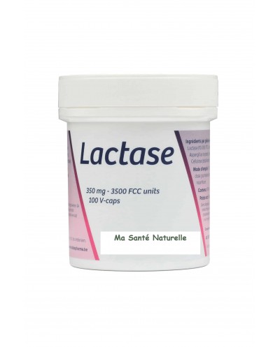 Lactase 350 mg 100 capsules vegetales