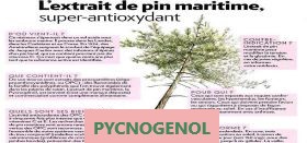 Pycnogenol